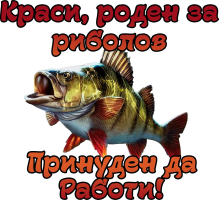 Краси, роден за риболов, принуден да работи — костур